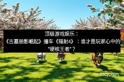 顶级游戏娱乐:《古墓丽影崛起》撞车《辐射4》:谁才是玩家心中的“硬核王者”?